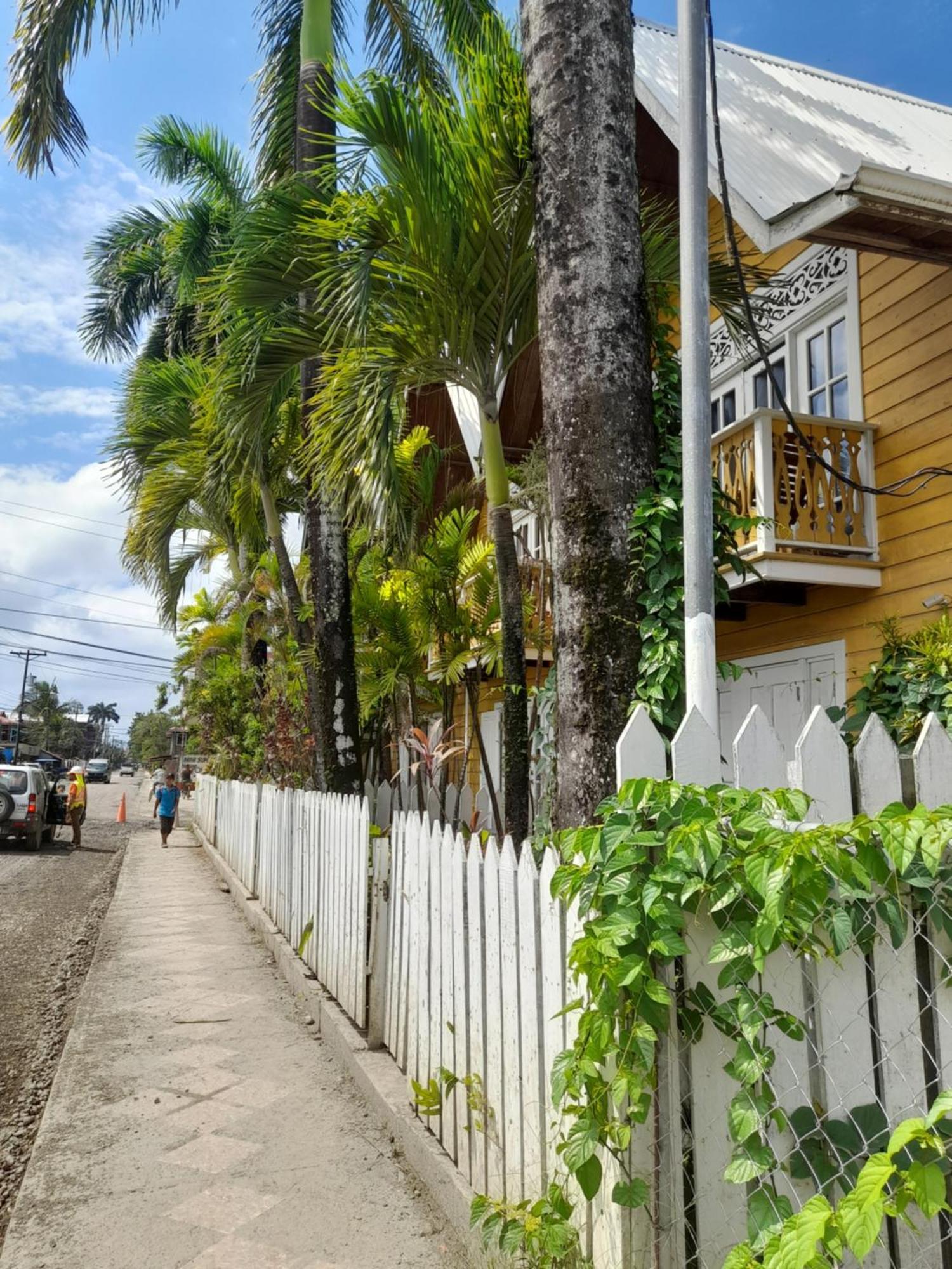 Charming Yellow Houses Loft-Style Apartment Bocas del Toro Exterior foto